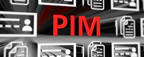 PIM-Systeme im Fokus