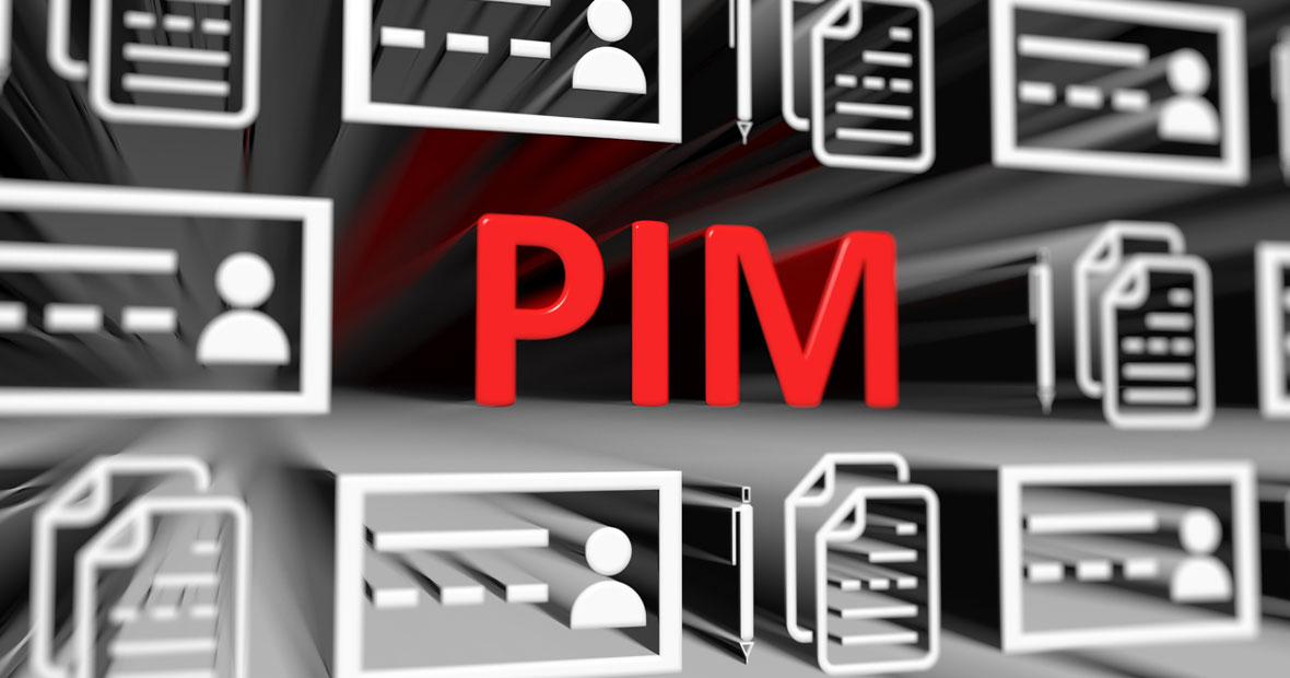 PIM-Systeme im Fokus